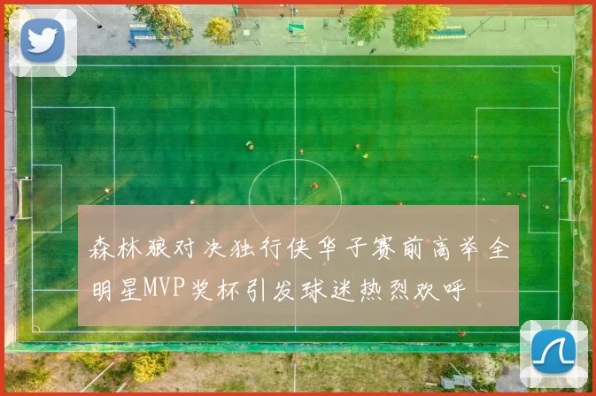 森林狼对决独行侠华子赛前高举全明星MVP奖杯引发球迷热烈欢呼
