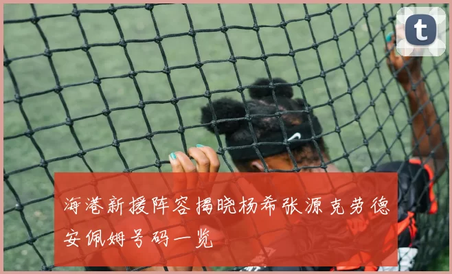 海港新援阵容揭晓杨希张源克劳德安佩姆号码一览