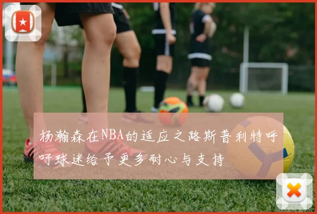 杨瀚森在NBA的适应之路斯普利特呼吁球迷给予更多耐心与支持